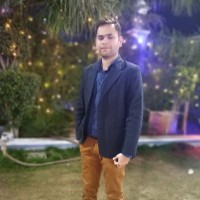 Meraj Ali Ansari
