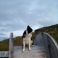 Sandy Macleod