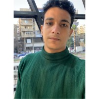 Mohamed Masoud Elhosary