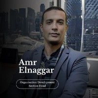 Amr Elnaggar