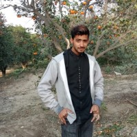 Naqi Khan
