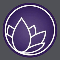 Nanolex Auto Spa