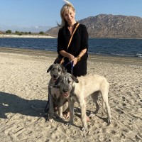 Julie Shumaker