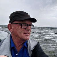 Wil Van Den Hout