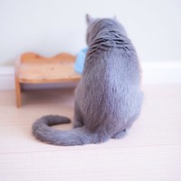 张梓钰