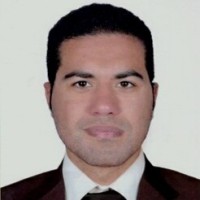 Kamel Mohamed , Idipnebosh , Hse Examiner, Hazop Leader