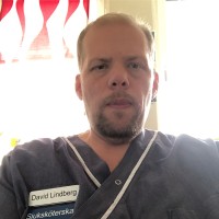 Lindberg David