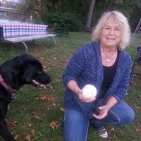 Diane Dillow