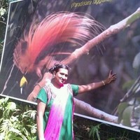Shanthi Vinod