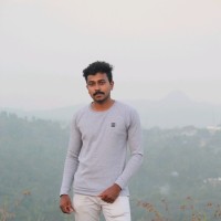 Harikrishnan P N