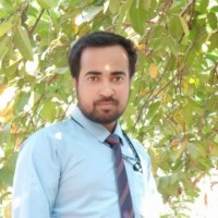 Syed Hasnain Mehadi