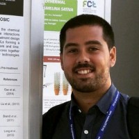 João Afonso Pires (PhD)