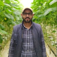 ali hamdi