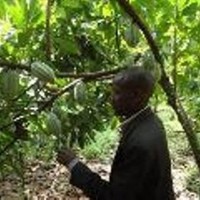 godfrey (cocoa buyer agaba (gaaco company in mitunda village