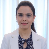 Nilufer Ibrahim , Pmp®, Psm®