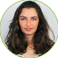 Stella Ldx