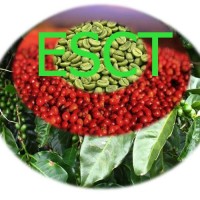 Ethiopian Speciality  Coffee Traders