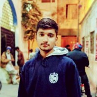 Muhammad Hasnain Mehdi