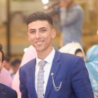 Tarek Elsayed