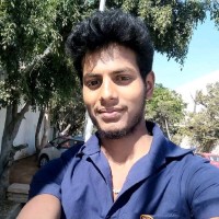 Vignesh N