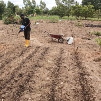 Stanislas DESSOUASSI