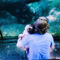 Nestor J. Molina Rosado