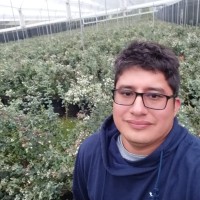 Julian Gutiérrez García