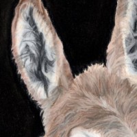 Digital Esel