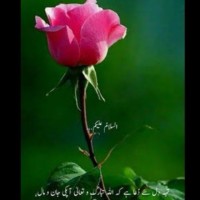 Lalaa Jee