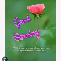 Neha Ms