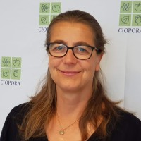 Katrin Huhnholz