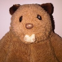 Carleton Beaver