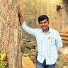 Bharathi Vadivel
