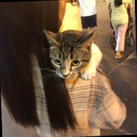 余巧玲