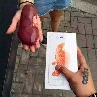 陈琪琳
