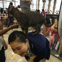 Hakyoung Lee