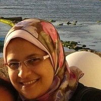 Sara Sayed Hassan