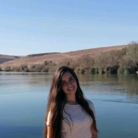 Stav Livne