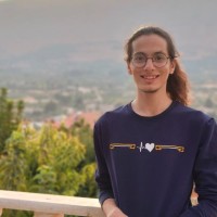 Anas Al-Sheikh Bakri