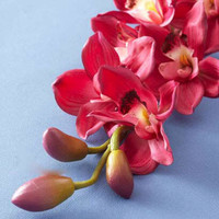 N Flower