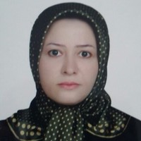 Saeideh Soltani