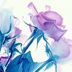 Rajeswari S