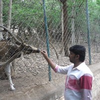 Rajshekhar Kulkarni