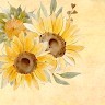 Mariette Fleck