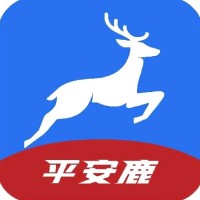 张龙帅