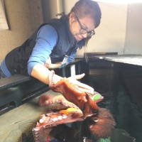 Kit Thornton (She/Her)