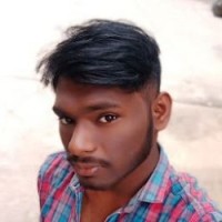 Prabhakar Vishnu