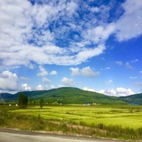 王忠立