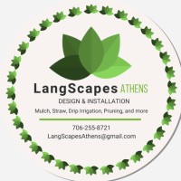 Matthew Lang