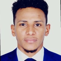 Alaa Eldin Mustafa
